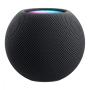 Колонка Apple HomePod mini Space Gray, «серый космос»