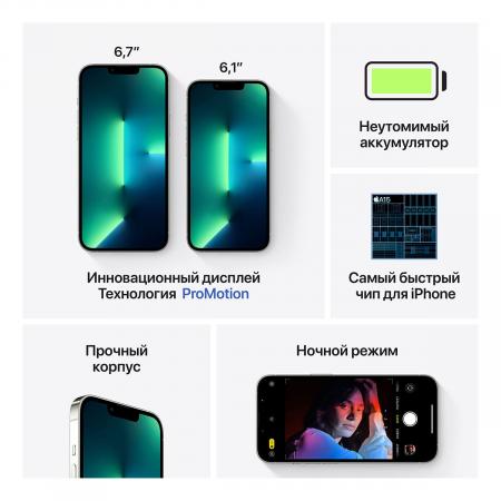 Apple iPhone 13 Pro Max 256Gb Silver, серебристый