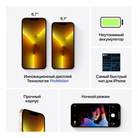 Apple iPhone 13 Pro Max 128Gb Gold, золотой