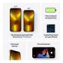 Apple iPhone 13 Pro Max 256Gb Gold, золотой